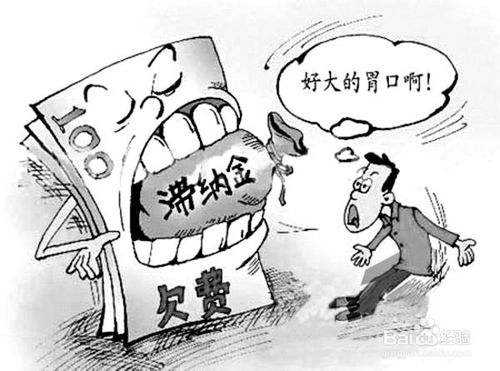 社保滞纳金怎么算？ 第1张